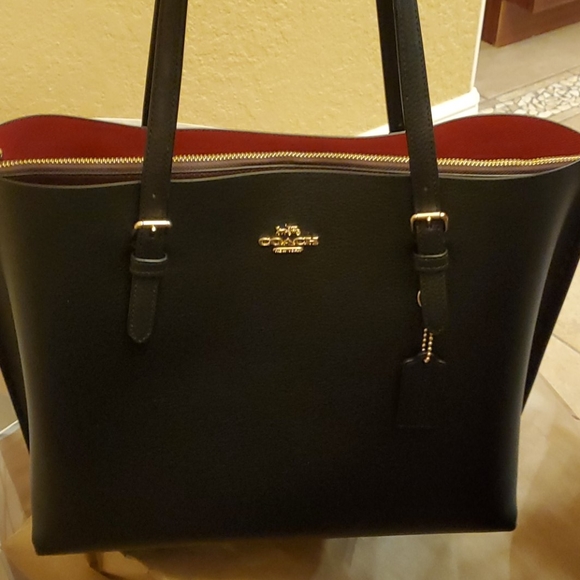 mickey suitcase